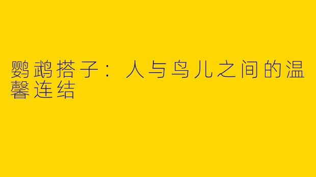 鹦鹉搭子：人与鸟儿之间的温馨连结