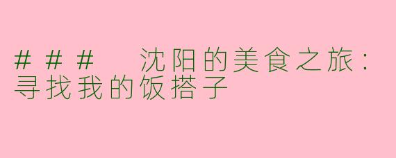 ### 沈阳的美食之旅：寻找我的饭搭子