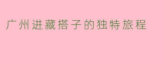 广州进藏搭子的独特旅程