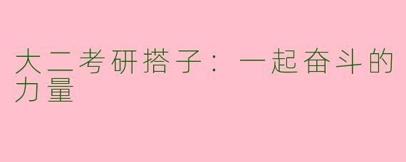 大二考研搭子：一起奋斗的力量