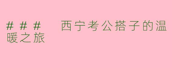 ### 西宁考公搭子的温暖之旅