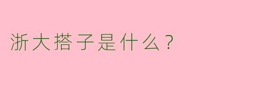 浙大搭子是什么？