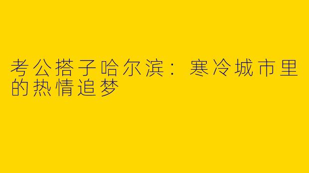 考公搭子哈尔滨：寒冷城市里的热情追梦