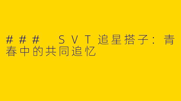### SVT追星搭子：青春中的共同追忆