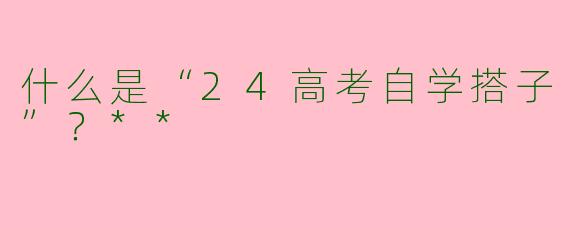 什么是“24高考自学搭子”？**