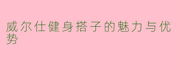 威尔仕健身搭子的魅力与优势