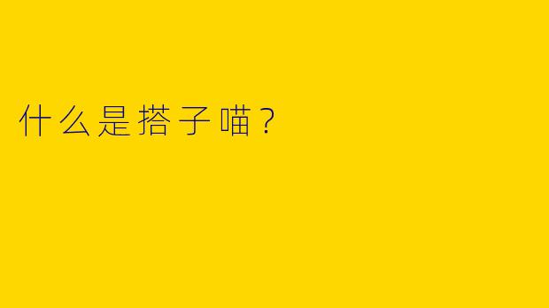 什么是搭子喵?