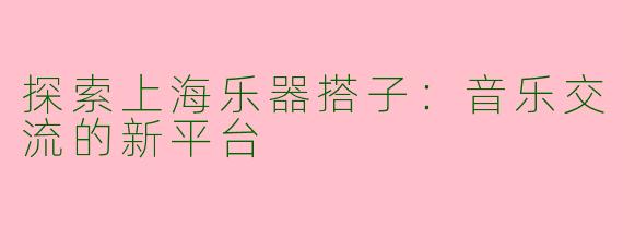 探索上海乐器搭子：音乐交流的新平台