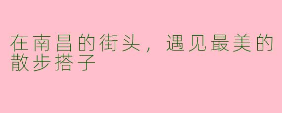 在南昌的街头，遇见最美的散步搭子
