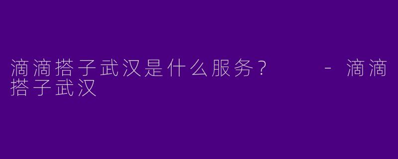 滴滴搭子武汉是什么服务？  -滴滴搭子武汉