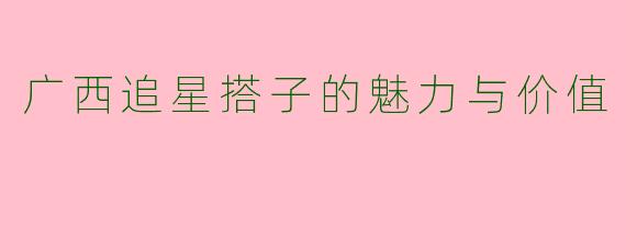 广西追星搭子的魅力与价值