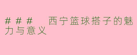 ### 西宁篮球搭子的魅力与意义