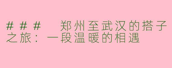 ### 郑州至武汉的搭子之旅：一段温暖的相遇