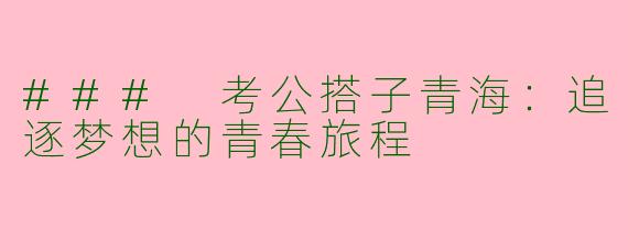 ### 考公搭子青海：追逐梦想的青春旅程