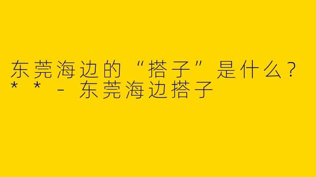 东莞海边的“搭子”是什么?**
