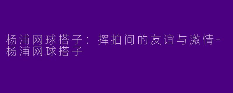 杨浦网球搭子:挥拍间的友谊与激情