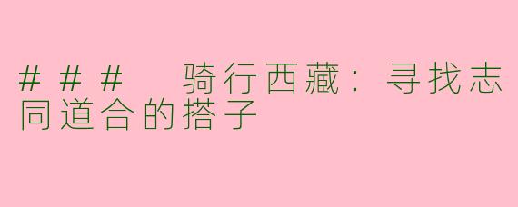### 骑行西藏:寻找志同道合的搭子