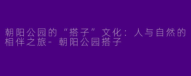 朝阳公园的“搭子”文化：人与自然的相伴之旅-朝阳公园搭子