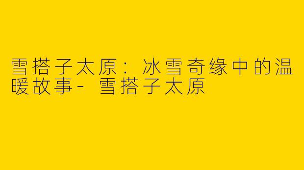 雪搭子太原:冰雪奇缘中的温暖故事