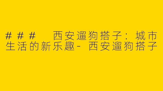 ### 西安遛狗搭子：城市生活的新乐趣-西安遛狗搭子