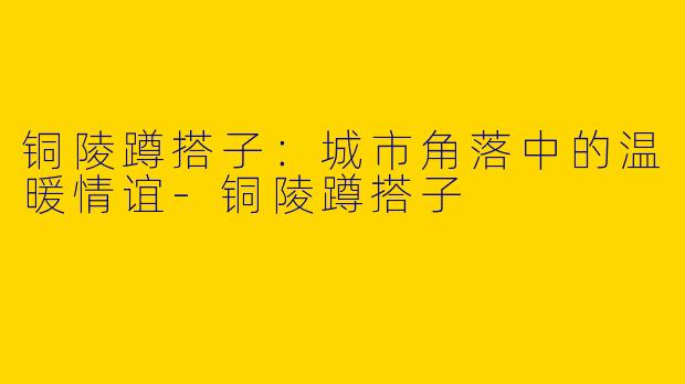 铜陵蹲搭子：城市角落中的温暖情谊-铜陵蹲搭子