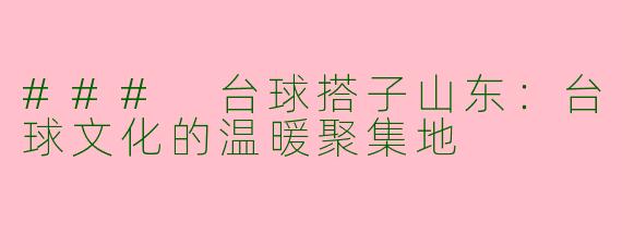 ### 台球搭子山东：台球文化的温暖聚集地