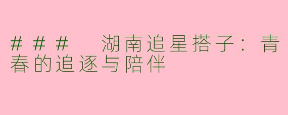 ### 湖南追星搭子：青春的追逐与陪伴