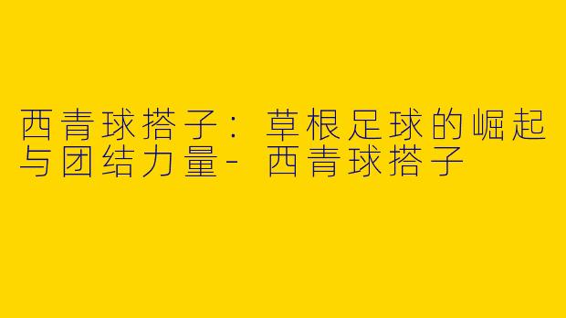 西青球搭子:草根足球的崛起与团结力量