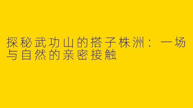 探秘武功山的搭子株洲：一场与自然的亲密接触