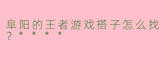 阜阳的王者游戏搭子怎么找？****