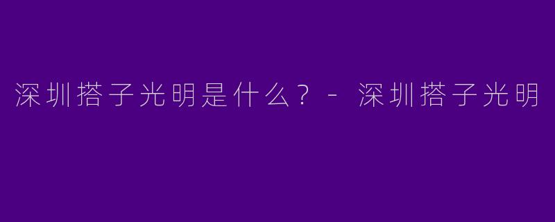 深圳搭子光明是什么？