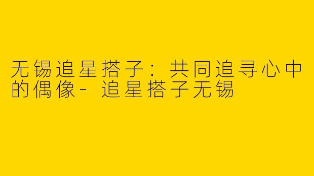 无锡追星搭子：共同追寻心中的偶像-追星搭子无锡