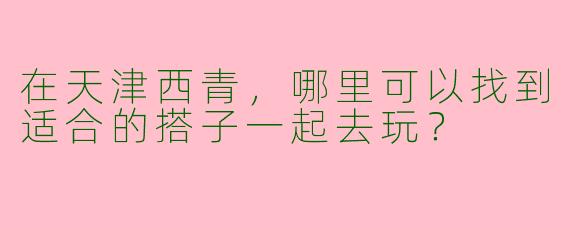 在天津西青，哪里可以找到适合的搭子一起去玩？
