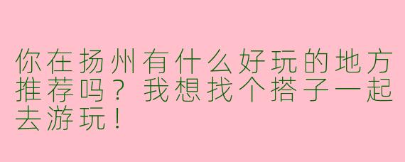 你在扬州有什么好玩的地方推荐吗？我想找个搭子一起去游玩！