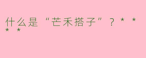 什么是“芒禾搭子”？****