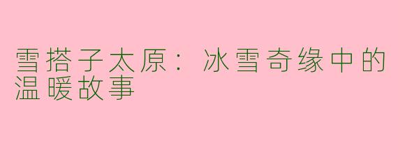 雪搭子太原：冰雪奇缘中的温暖故事