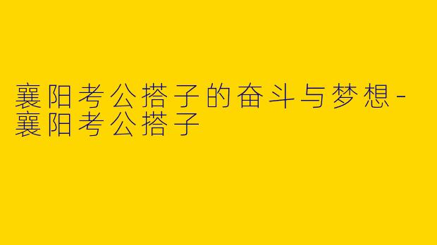 襄阳考公搭子的奋斗与梦想-襄阳考公搭子
