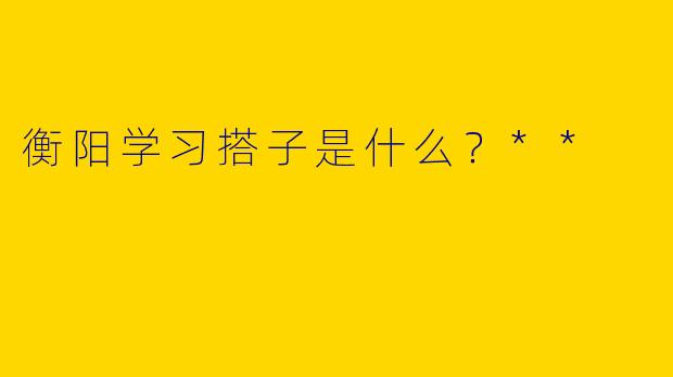 衡阳学习搭子是什么？**