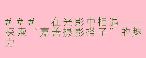 ### 在光影中相遇——探索“嘉善摄影搭子”的魅力