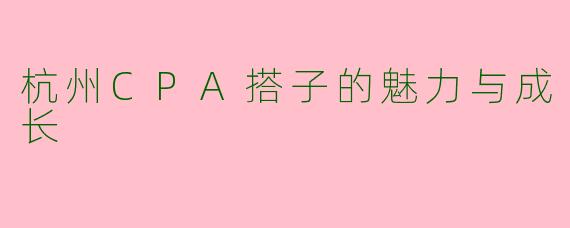 杭州CPA搭子的魅力与成长