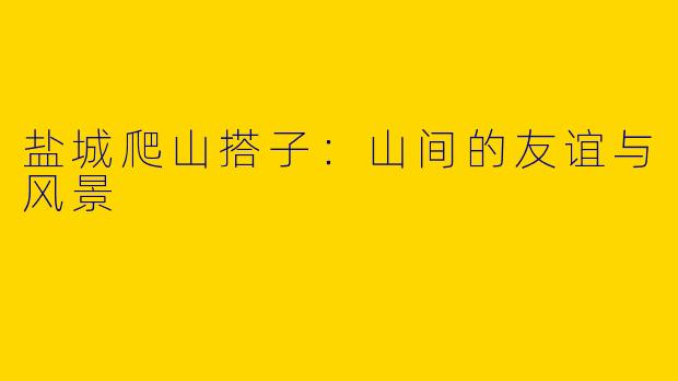 盐城爬山搭子:山间的友谊与风景