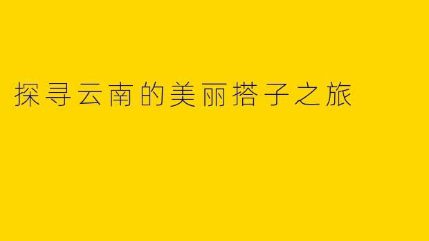 探寻云南的美丽搭子之旅