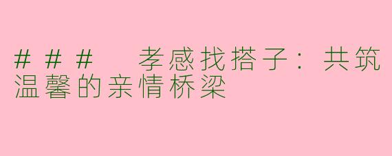 ### 孝感找搭子：共筑温馨的亲情桥梁