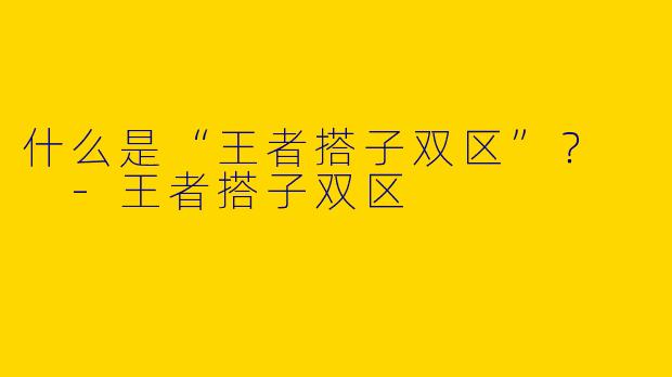 什么是“王者搭子双区”?