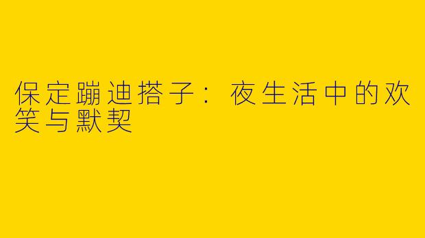 保定蹦迪搭子：夜生活中的欢笑与默契