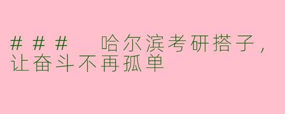 ### 哈尔滨考研搭子，让奋斗不再孤单