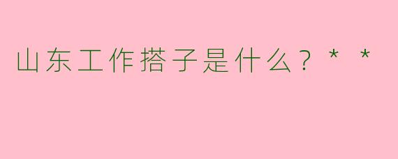 山东工作搭子是什么？**