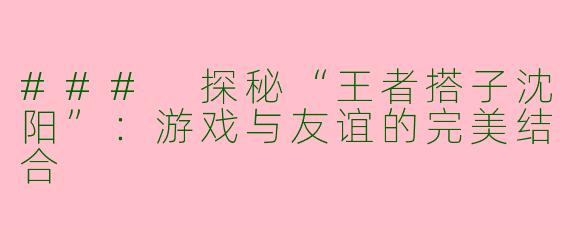 ### 探秘“王者搭子沈阳”：游戏与友谊的完美结合
