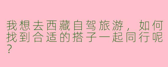 我想去西藏自驾旅游,如何找到合适的搭子一起同行呢?