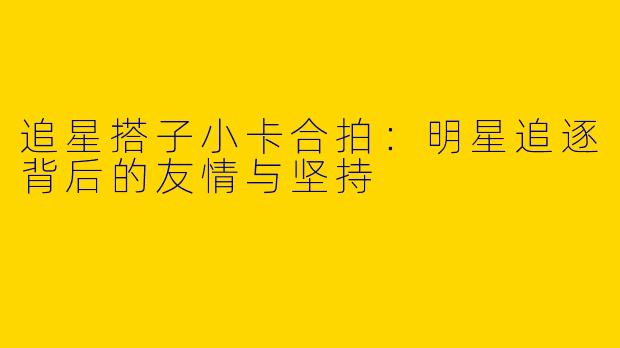 追星搭子小卡合拍:明星追逐背后的友情与坚持
